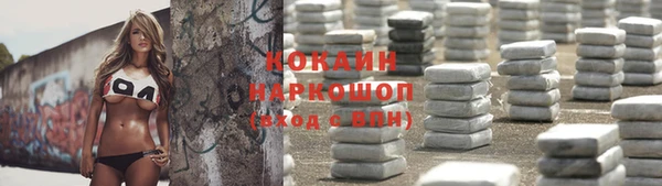 бошки Магас