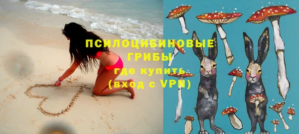 гашик Беломорск