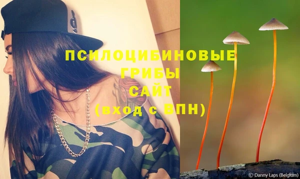 прущий лед Белокуриха
